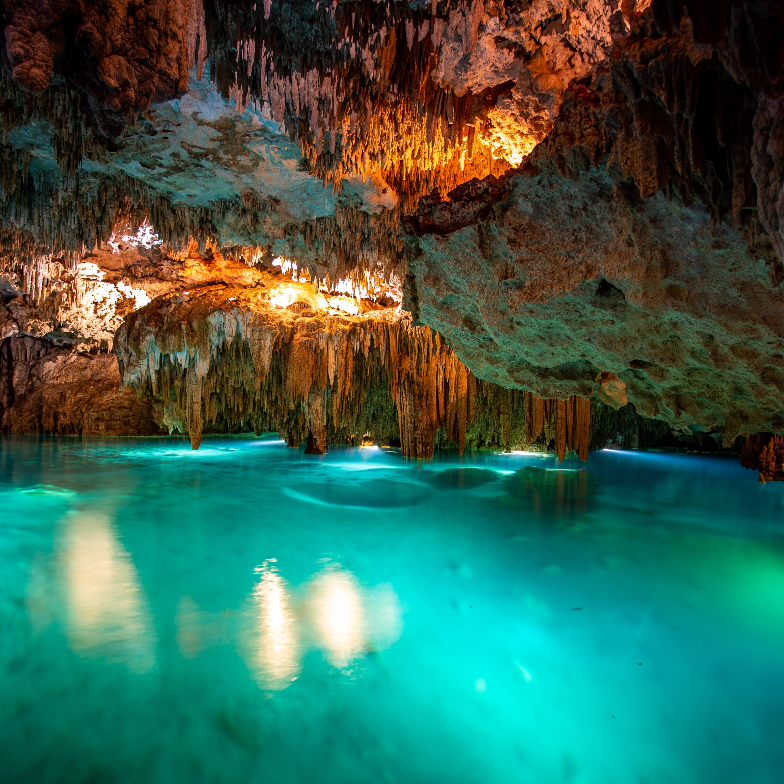 Cenotes, Turtles & Beach Club