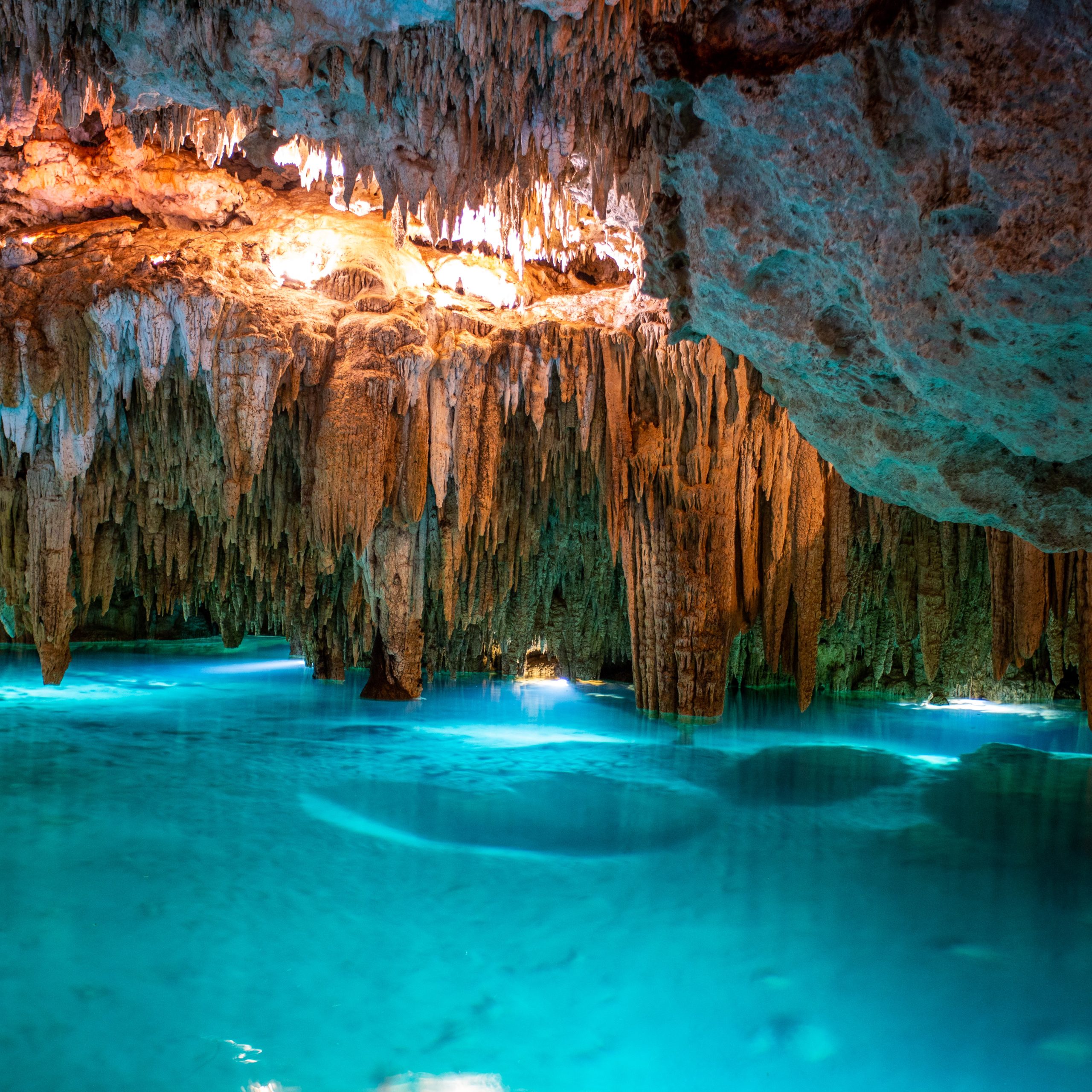 Cenotes, Turtles & Beach Club