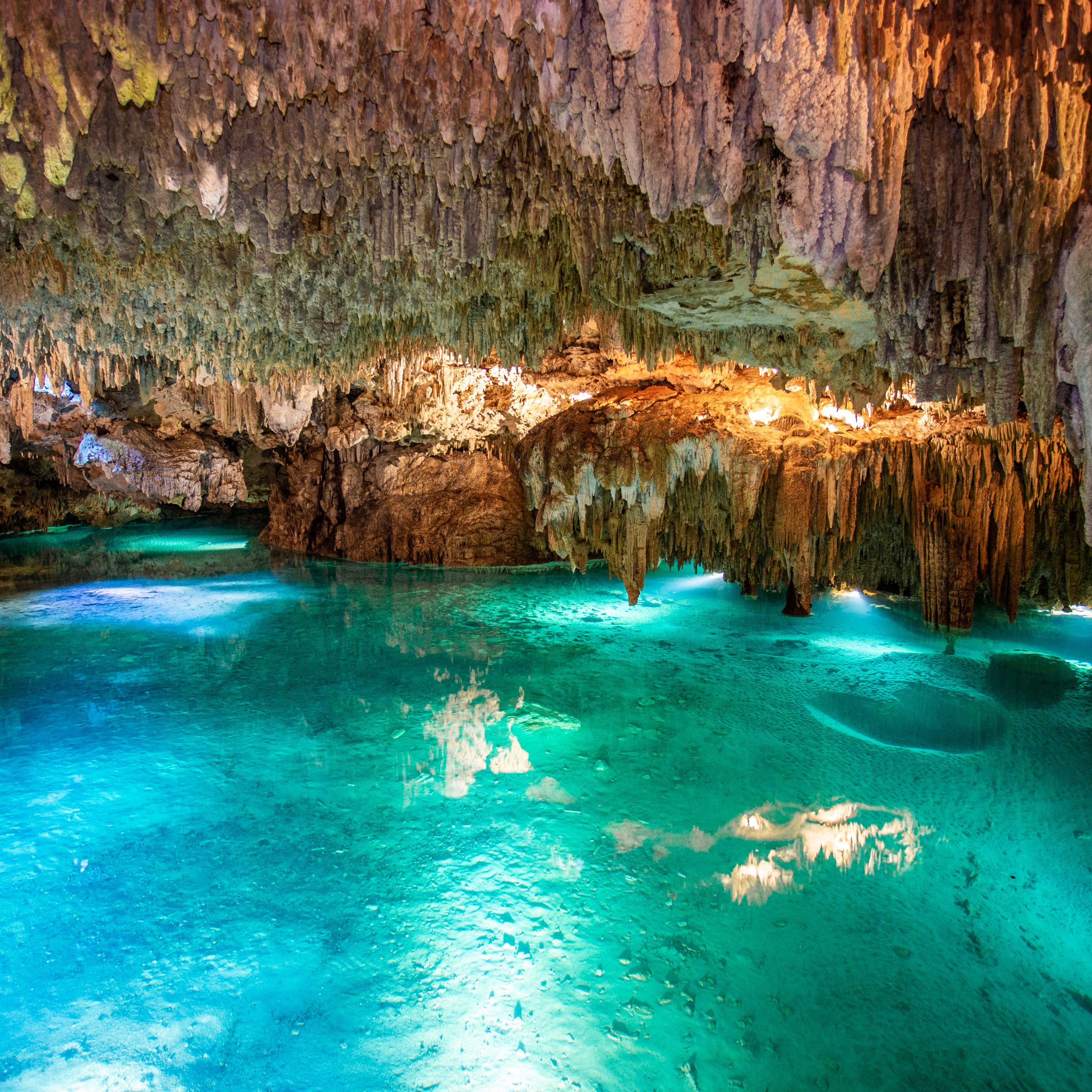 Cenotes, Turtles & Beach Club